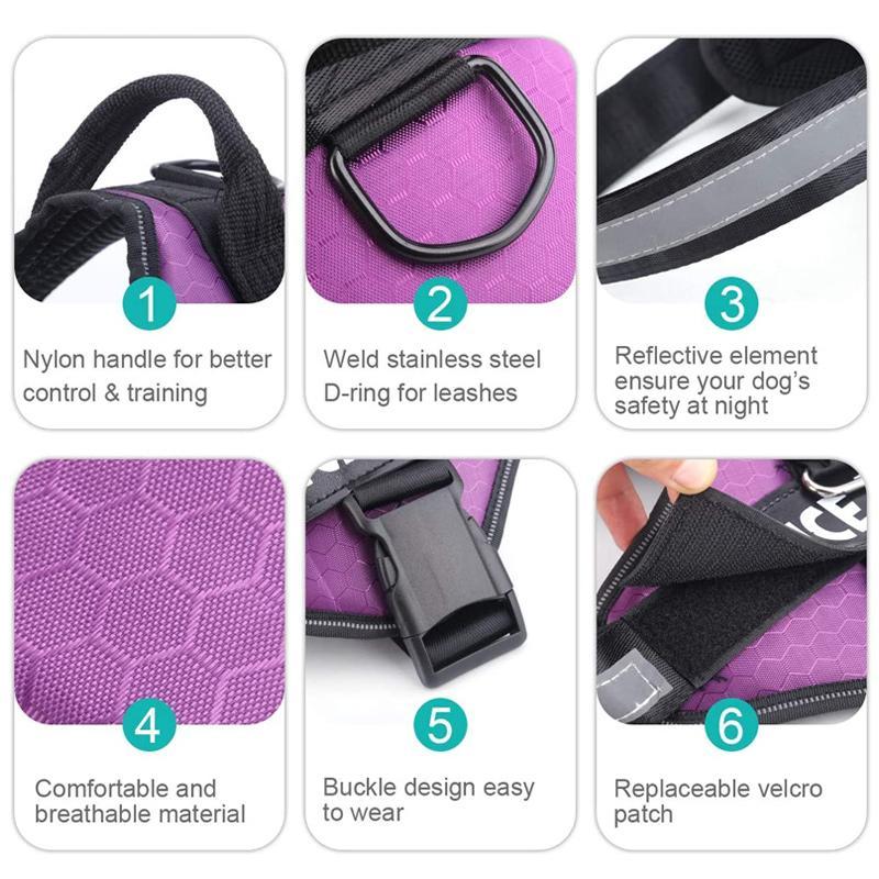 Pet Chest Harness