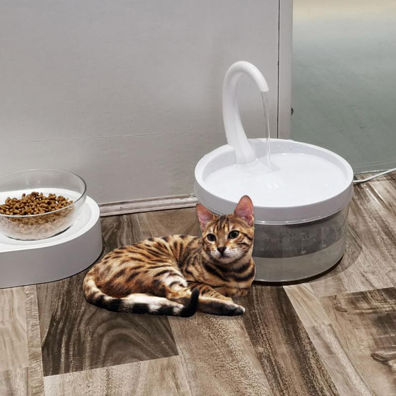 Cat automatic drinking bowl