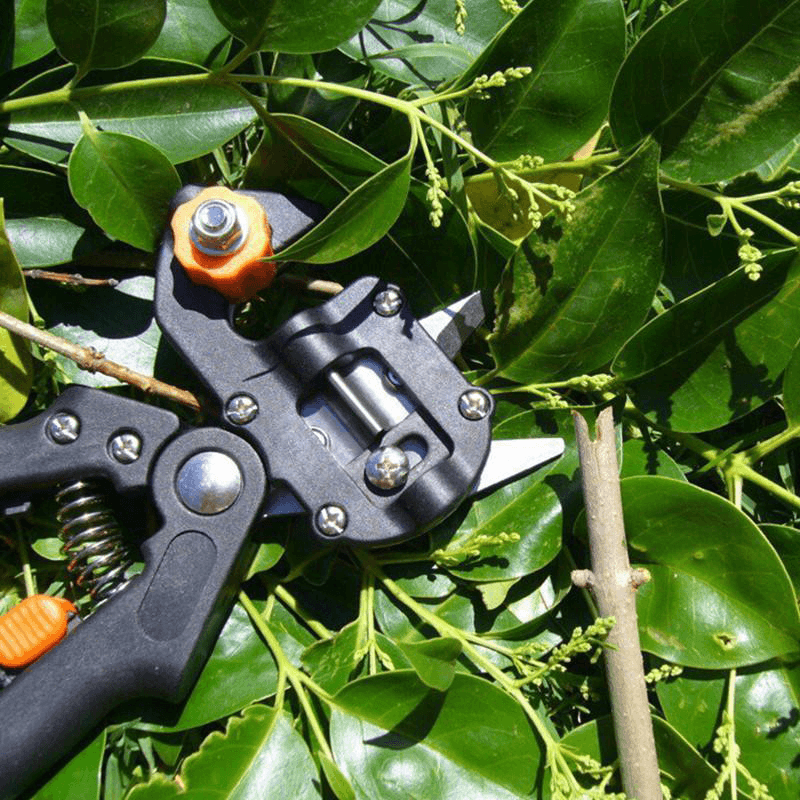 Professional Garden Grafting Tool Kit